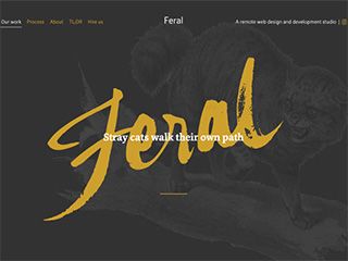 2019年5月份網(wǎng)站設計趨勢