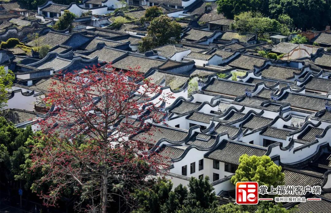 福州城市形象標(biāo)識設(shè)計(jì)萬眾期待中 福州城市形象標(biāo)識設(shè)計(jì)萬眾期待中